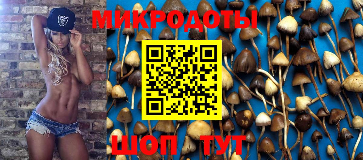 Галлюциногенные грибы ЛСД  наркота  Шарыпово  Галлюциногенные грибы MAGIC MUSHROOMS  Вход с VPN 